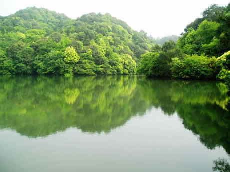 �������Y