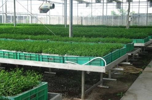 �������Y