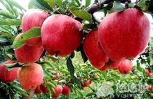 �������Y