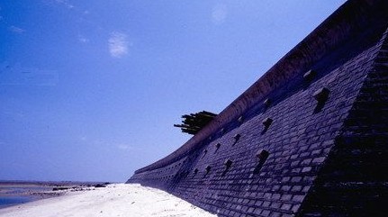 �������Y