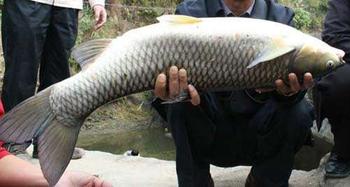 �������Y