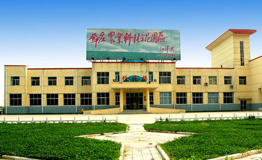 �������Y