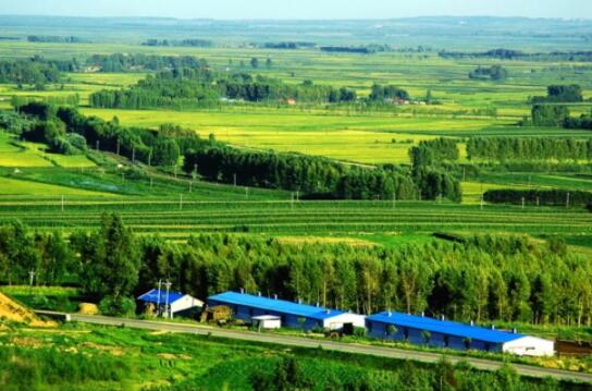 �������Y