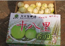 �������Y