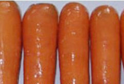 �������Y