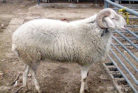 �������Y