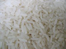 �������Y