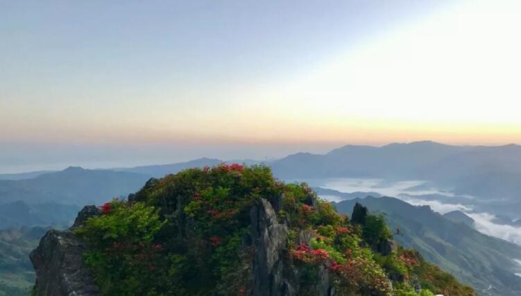 �������Y