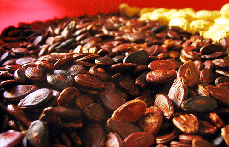 �������Y