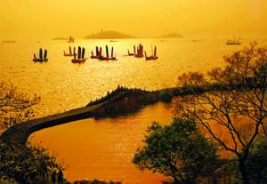 �������Y