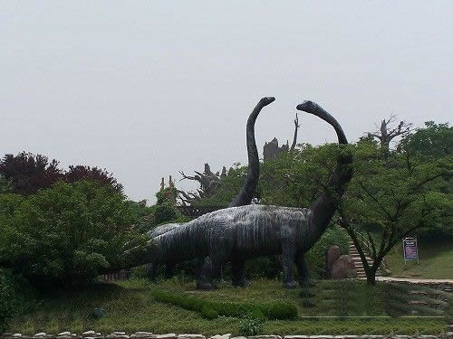 �������Y