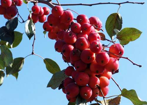 �������Y