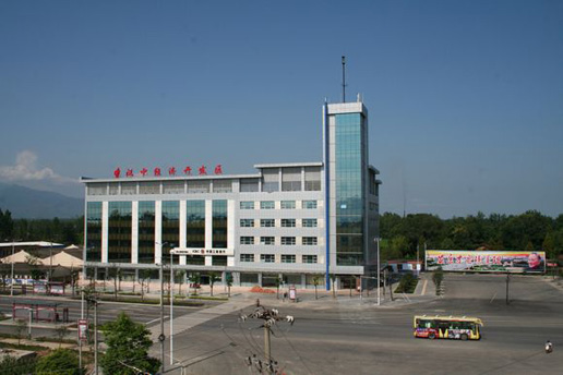 �������Y