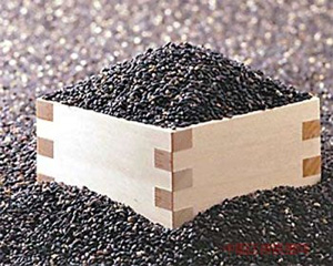 �������Y