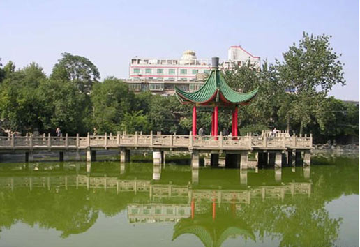 �������Y