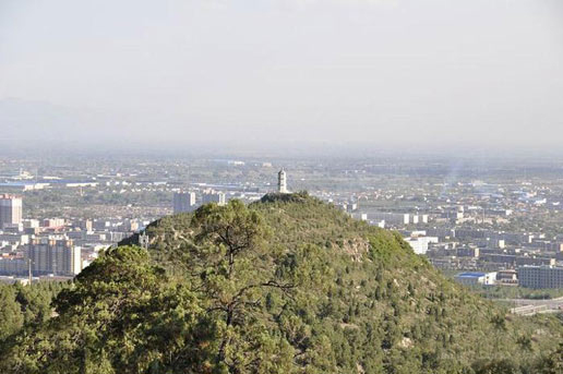 �������Y