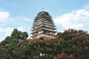 �������Y