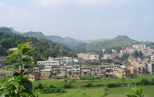 �������Y