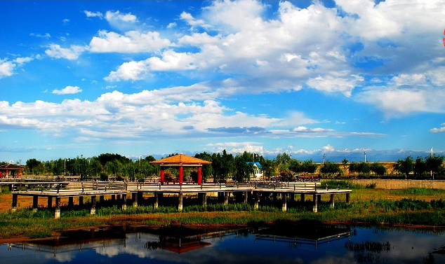 �������Y