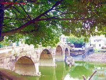 �������Y