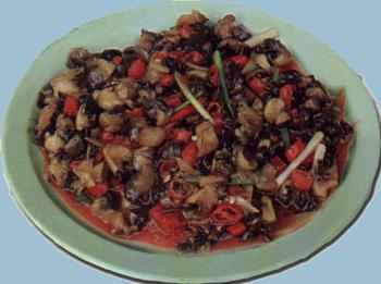 �������Y