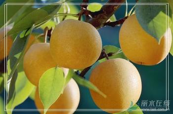 �������Y